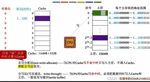 計算機組成原理 第三章存儲系統(tǒng) 下